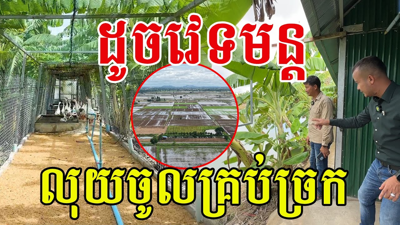 លុយគ្រប់ច្រក​ ពីមុនទុកដីទំនេរចោលសោះ​ សូមសរសើរបងប្រុសជំនាញមែន