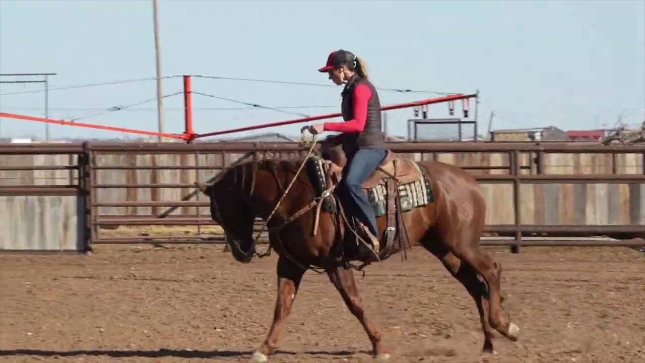 -The Jinja Ninja- Hip #59 at Levelland Horse Sale
