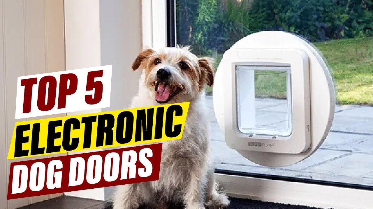 Smart Home Essentials: Best Electronic Dog Doors Reviewed
