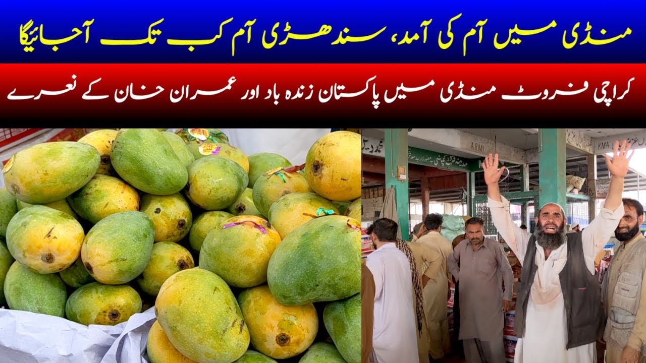 Karachi Fruit Mandi Updates | Sabzi Mandi Super Highway | Cheapest Fruit Market Of Asia