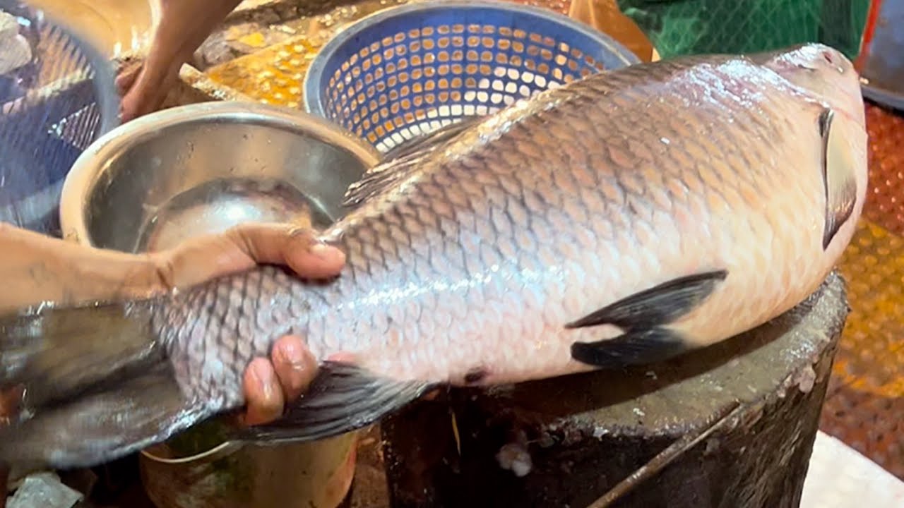 Amazing Cutting Skills | Big Rohu Fish Cutting Skills In Fish Market Bangladesh 