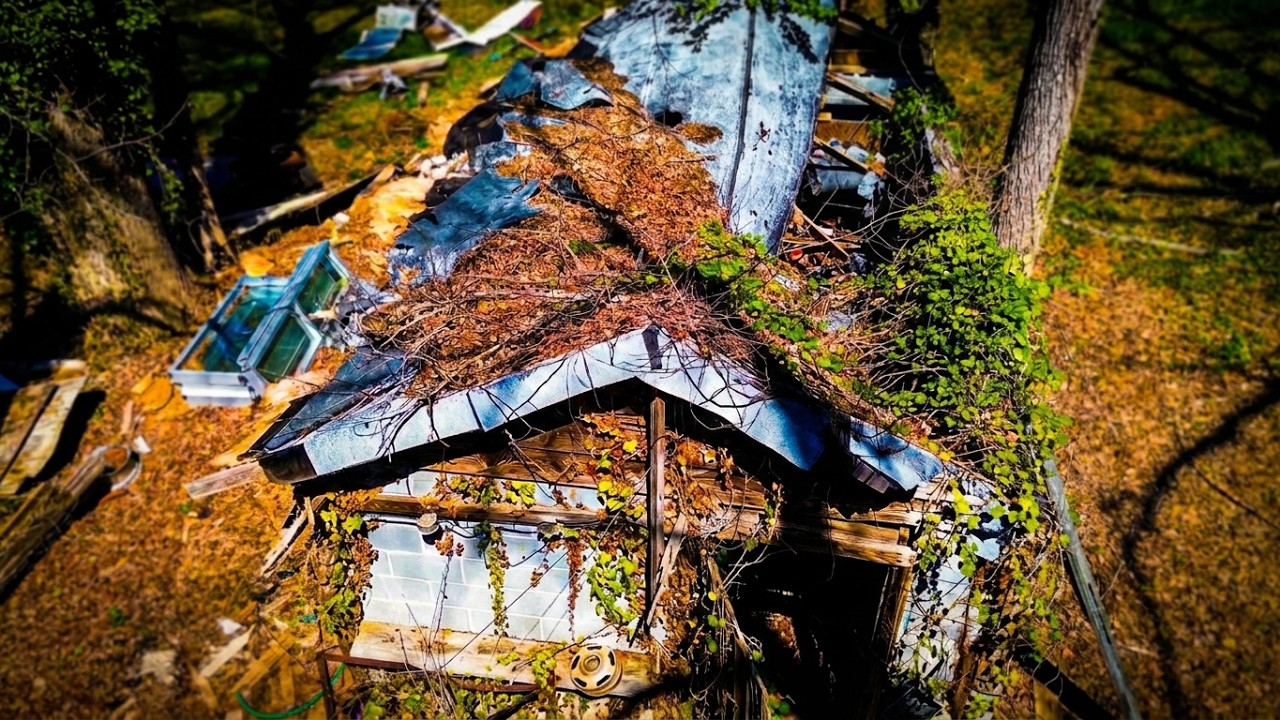 I Bought an Abandoned Pony Barn FULL of Classic Car PARTS! Full Barn find cleanup