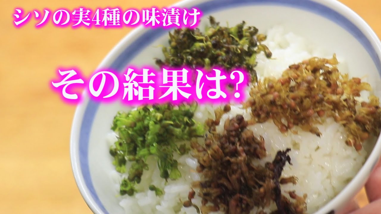 しその実🍃4種の味 塩・醤油・白梅酢・赤しそ梅酢で漬けた結果は?