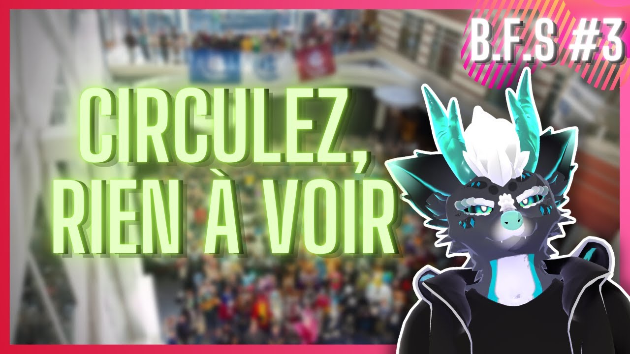 LA FAUSSE POSITIVITÉ (FBL) | Bad Furry Side #3