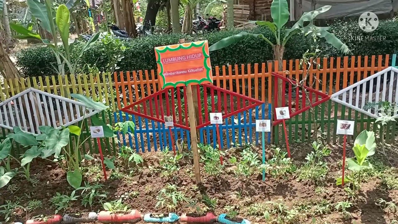 Juara 1 Lomba Taman Hatinya PKK Desa Kalimeneng Tahun 2021