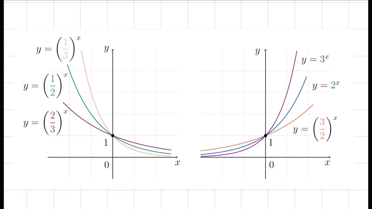 La Funzione Esponenziale Elementare