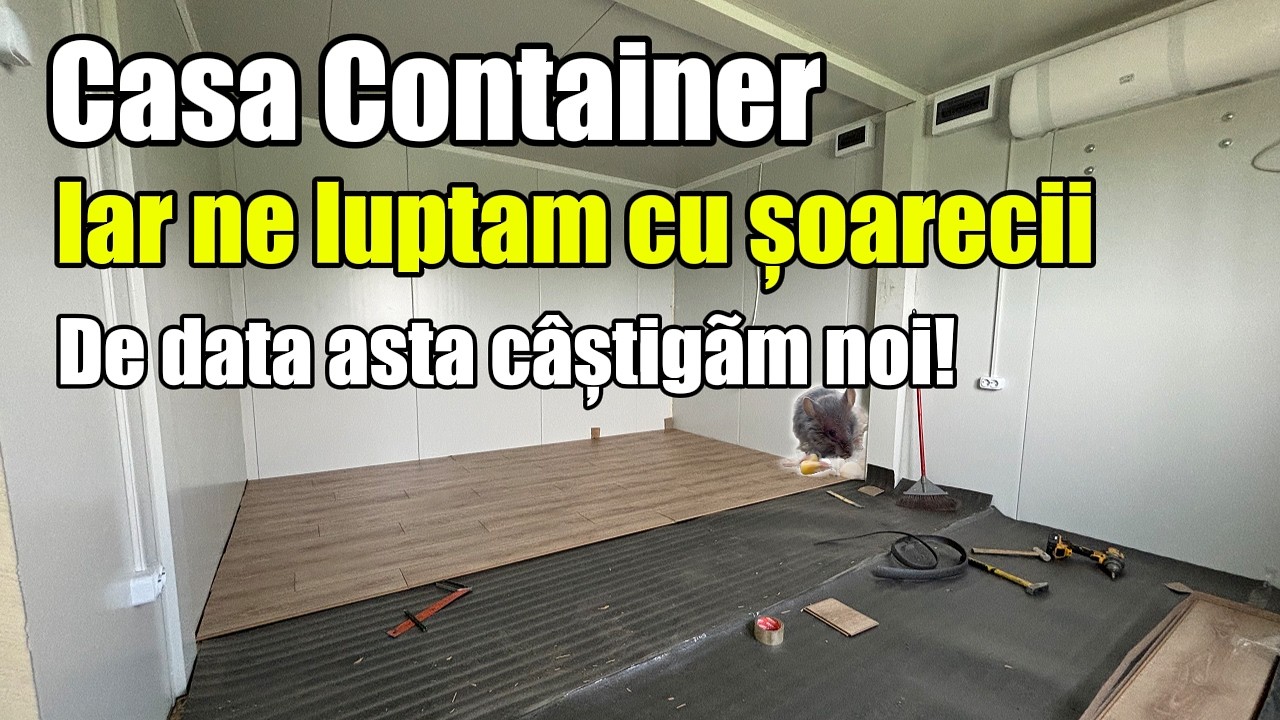 Au reaparaut PROBLEME la casa CONTAINER! Weekend in care ne relaxam dar si muncim!