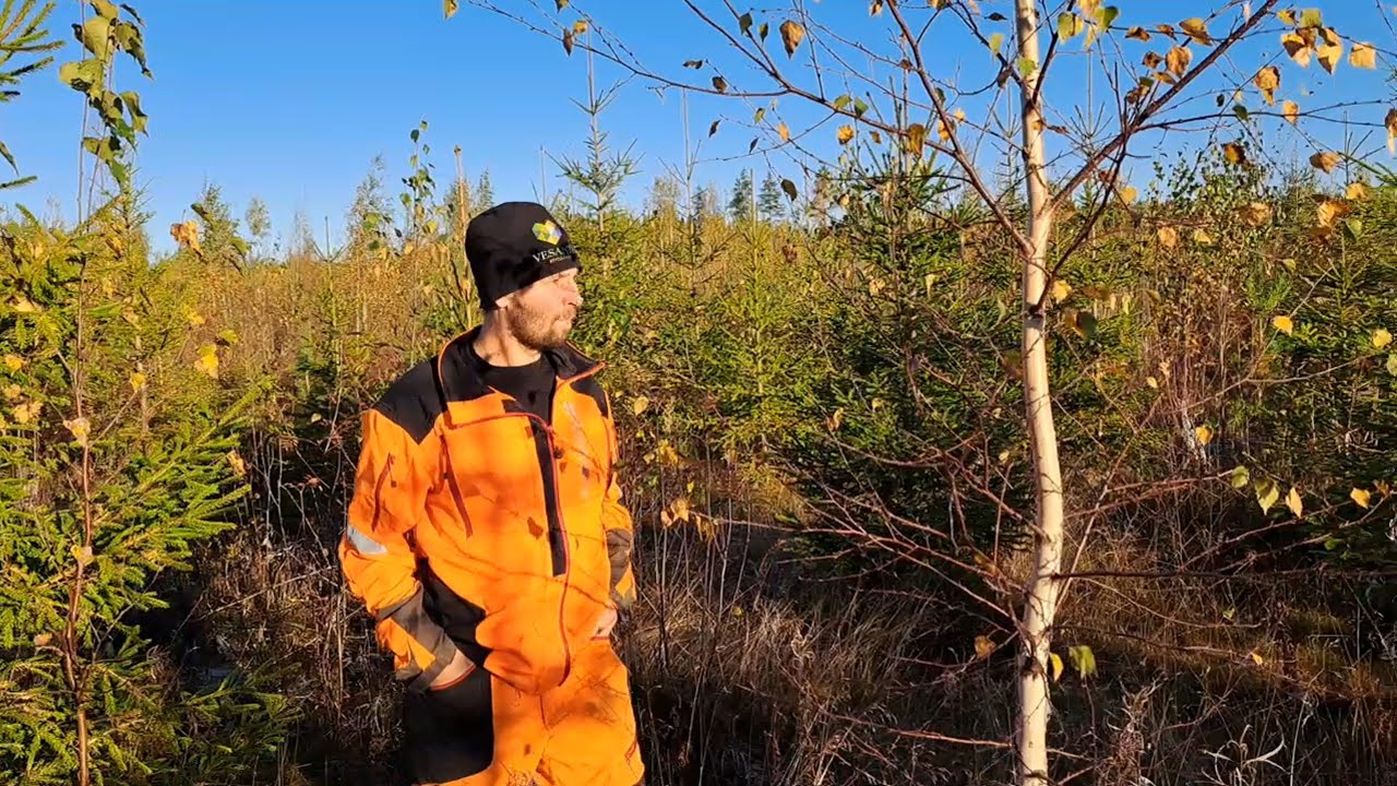 Tehtiin varhaisperkaus kaksi vuotta sitten - Miltä näyttää nyt?