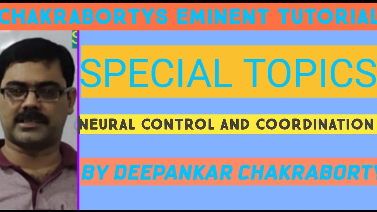 NEURAL CONTROL AND COORDINATION|| HUMAN NERVOUS SYSTEM AND GENERATION AND CONDUCTION