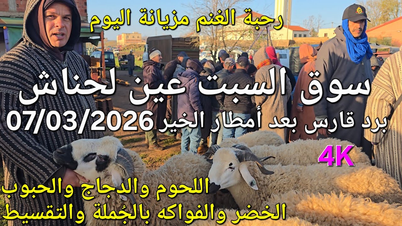 أثمنة الغنم والدجاج واللحوم والخضر سوق السبت عين لحناش اليوم 07/03/2026