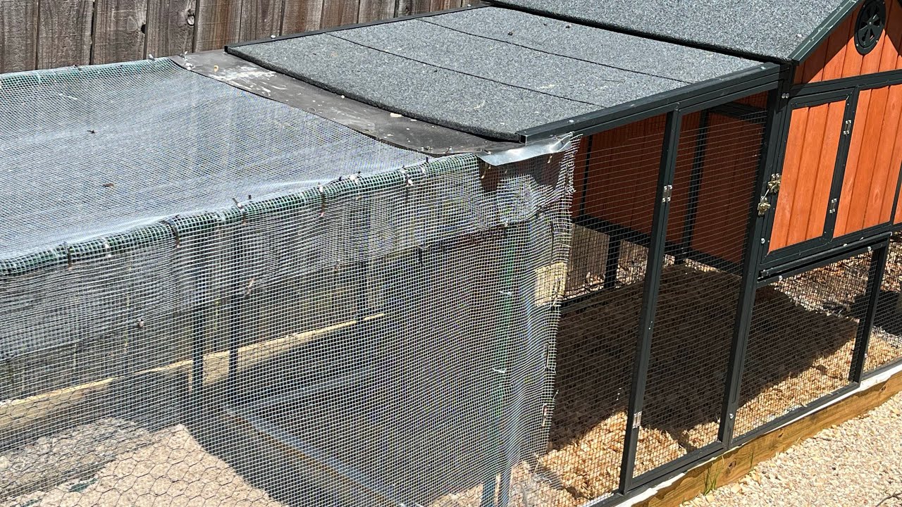 Eco Linear Outdoor Metal Chicken Coop and Run Review | Ultimate Chicken Coop Solution