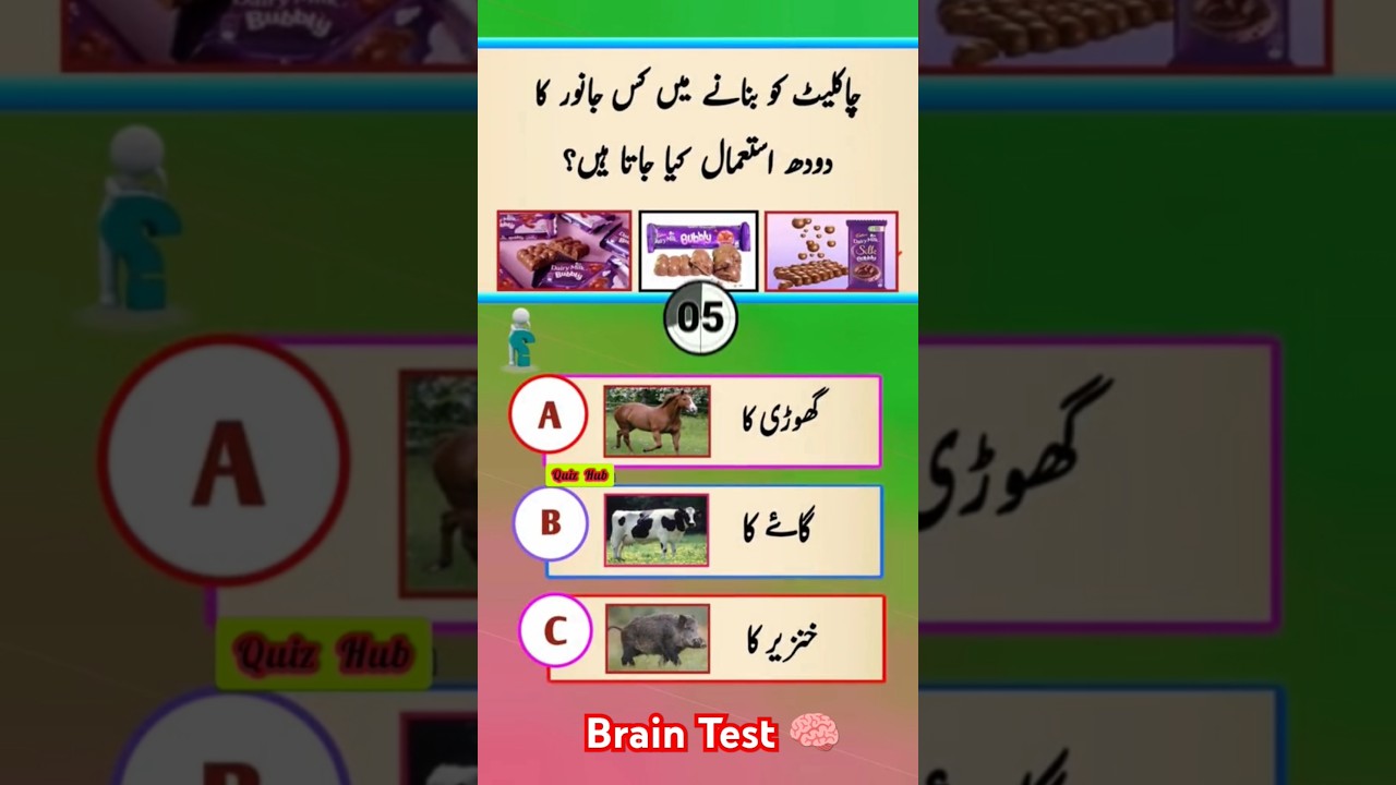 Do You Know Quiz Program Brain Test Questions Answers About Islam Old History