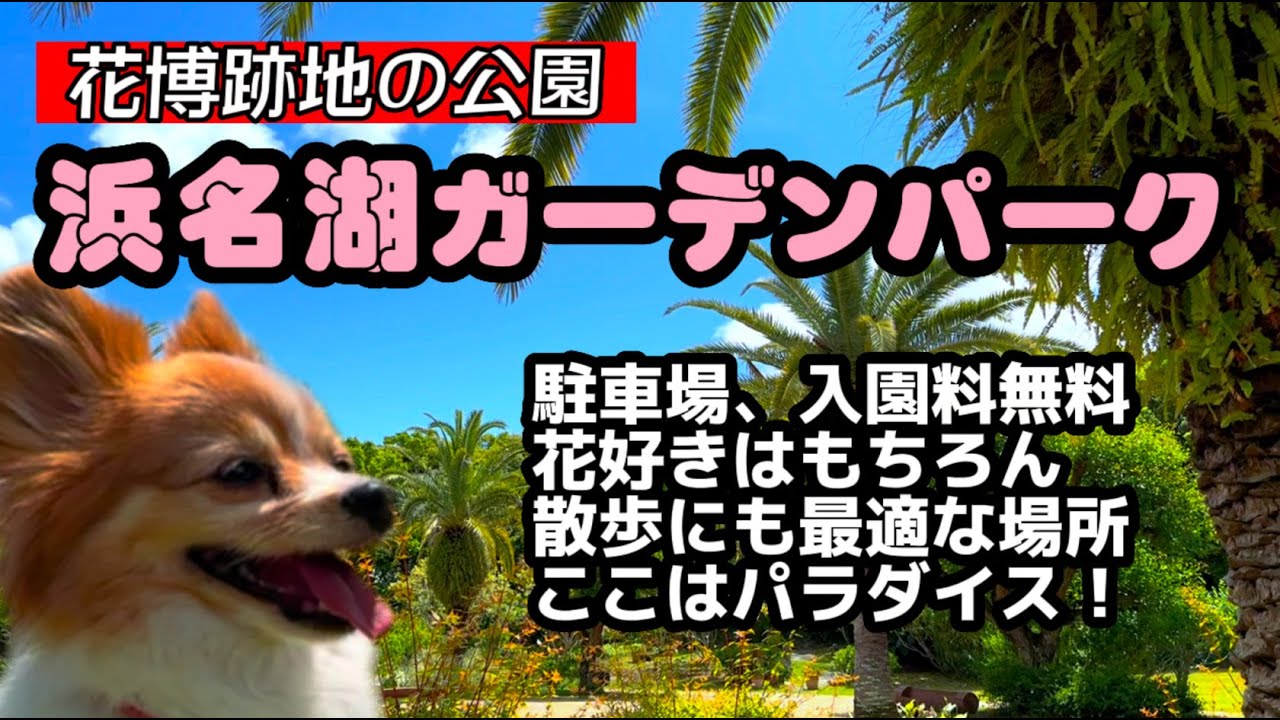 【愛犬と行く旅行・静岡（清水・掛川・浜松）】浜名湖ガーデンパーク　花博跡地の公園　モネの庭（花の美術館）　国際庭園