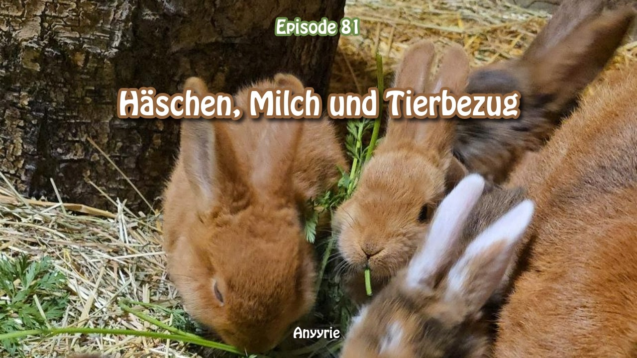 Häsenbabies, Milch und co.