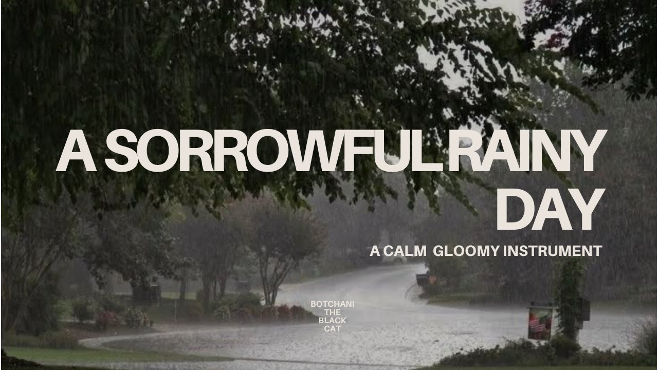 a sorrowful rainy day, and you think you can meet him/her for one more time