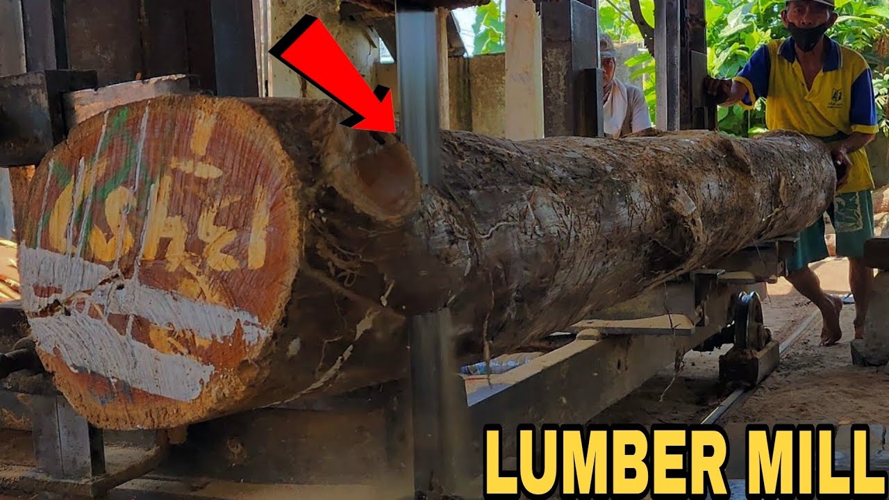 Insane Precision! Watch This Teak Log Become Perfect 22x22 Export Beams!