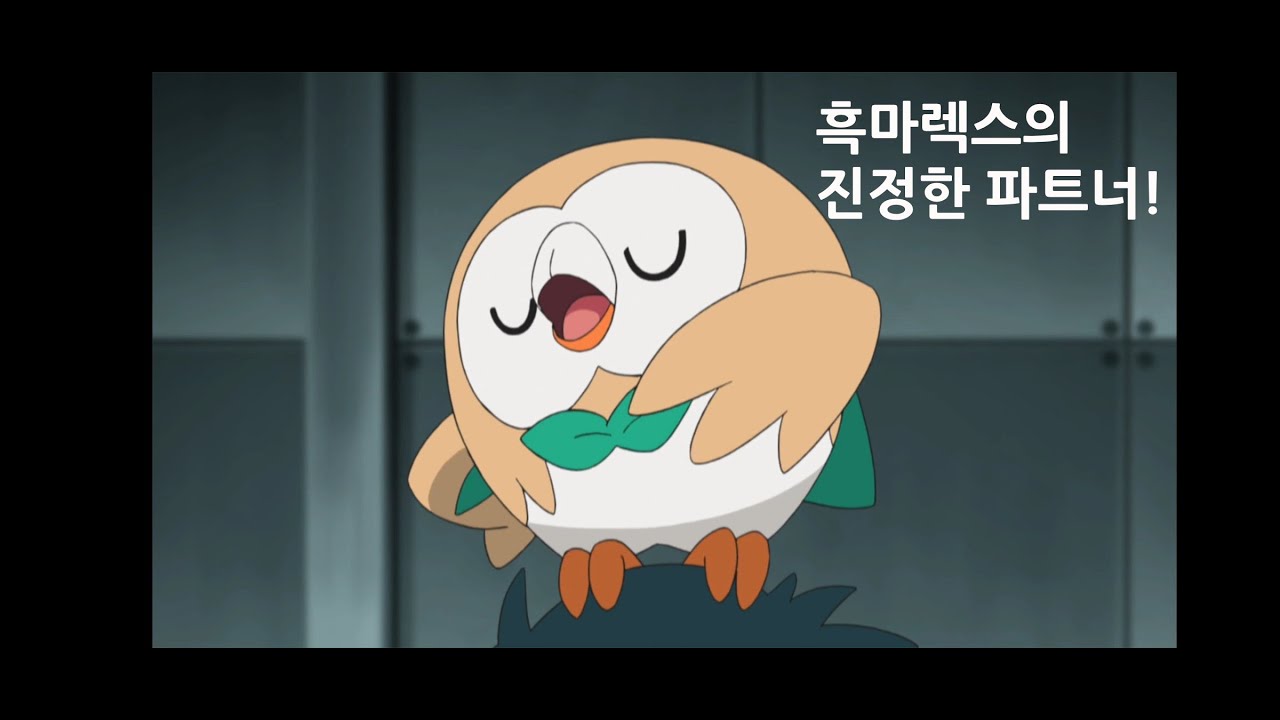 초전설 룰에서 나몰빼미 써보기
