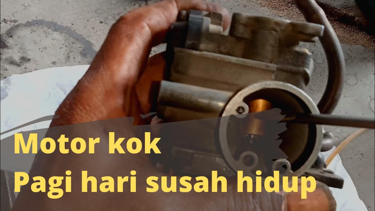 Penyebab dan cara mengatasi Vega r pagi hari susah hidup