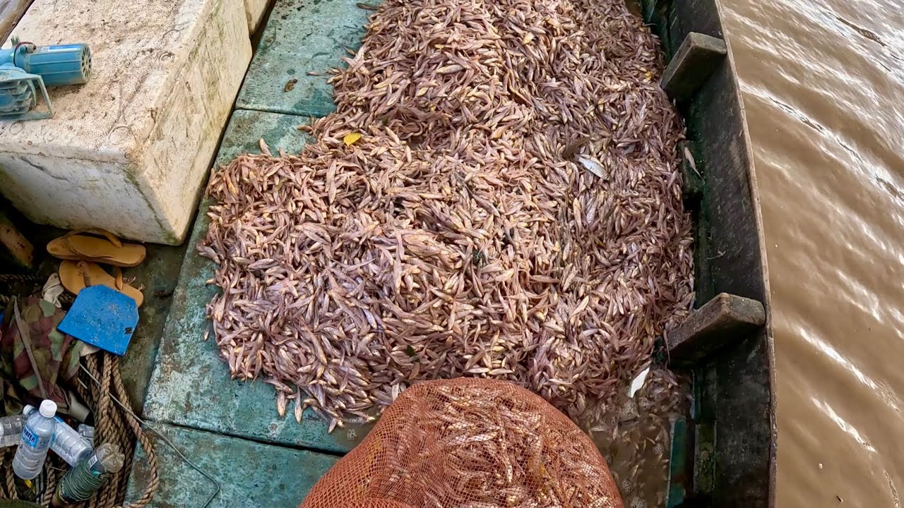 Quá Khủng Đục Cá Hơn 100Kí|Gặp Lốc Xoáy Khi Đang Chạy Ghe|| TCNTV #557