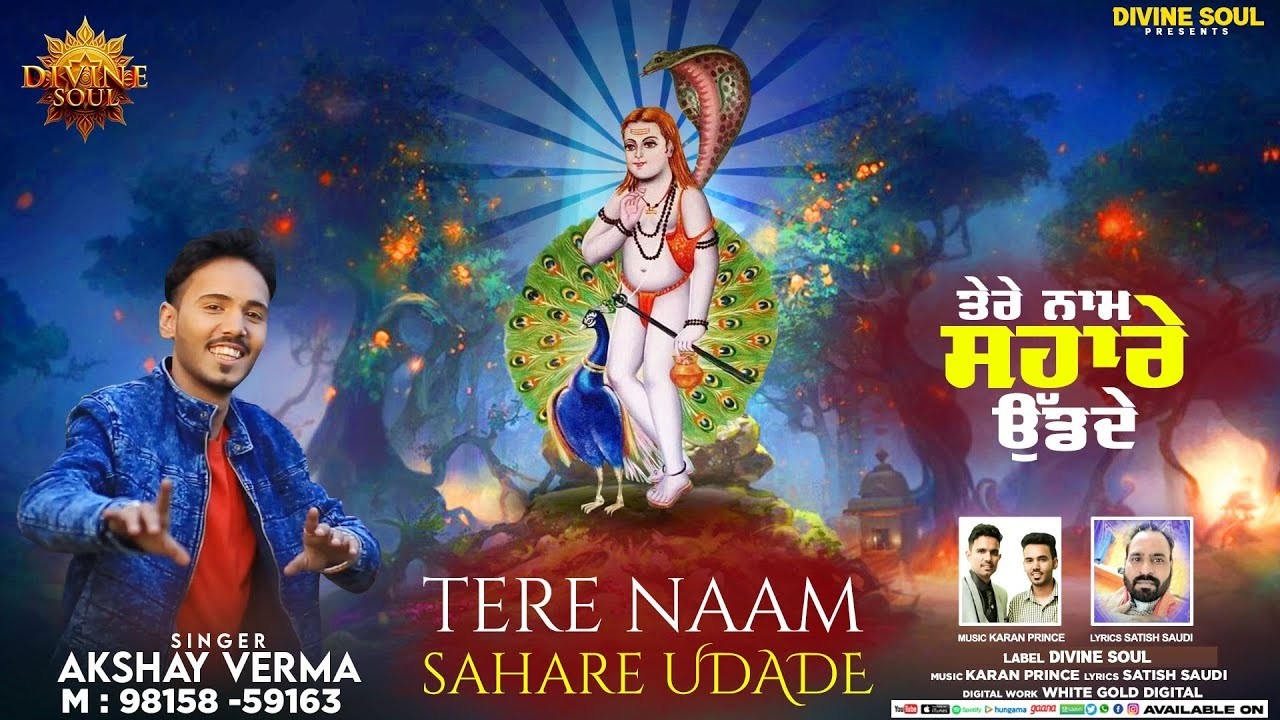 ਬਾਲਕ ਨਾਥ ਜੀ ਦੀਆਂ ਭੇਟਾਂ | Tere Naam Sahare Jogi Baba Baba BalakNath NonStop Bhajan | #bababalaknath