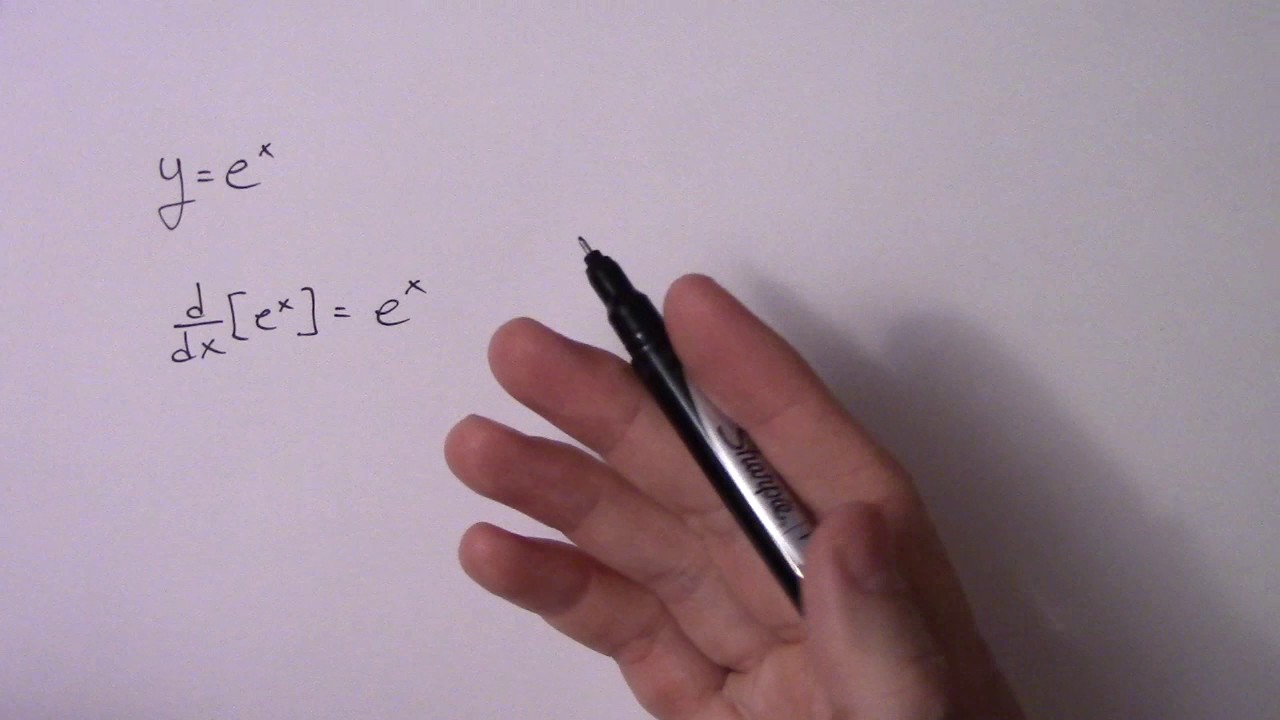 The Easiest Derivative Ever (y = e^x)