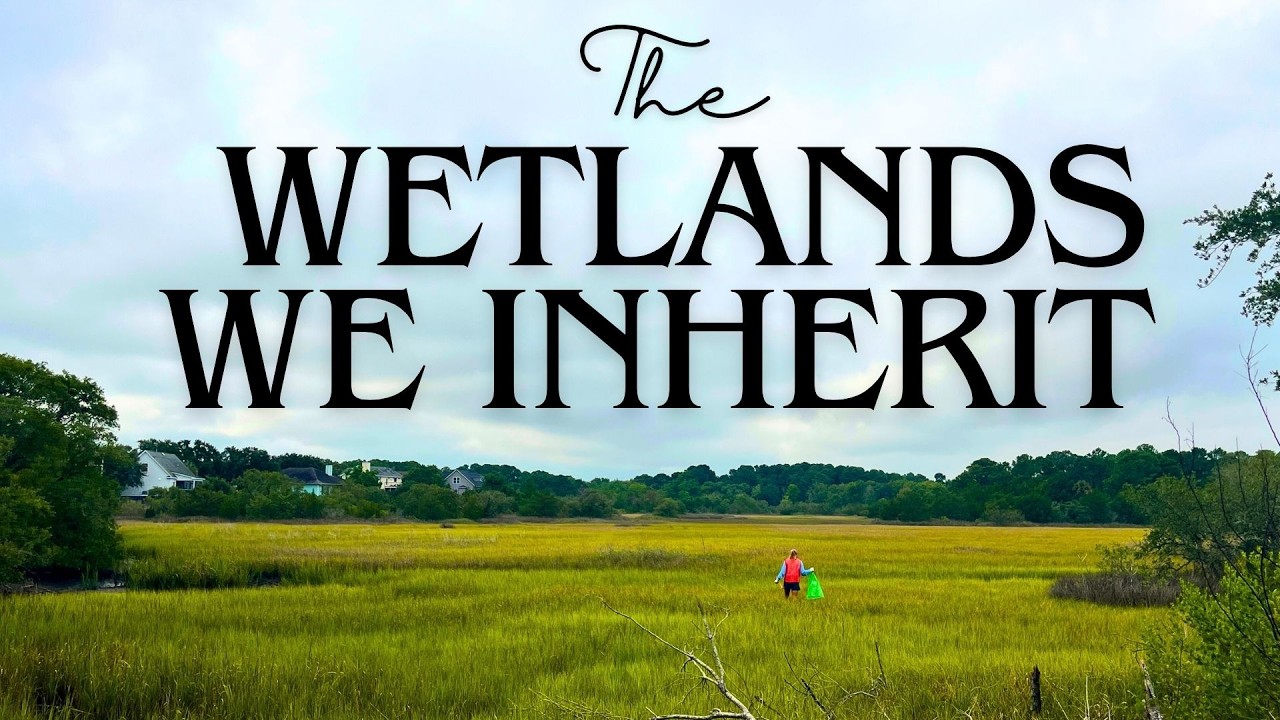 The Wetlands We Inherit - Short Film