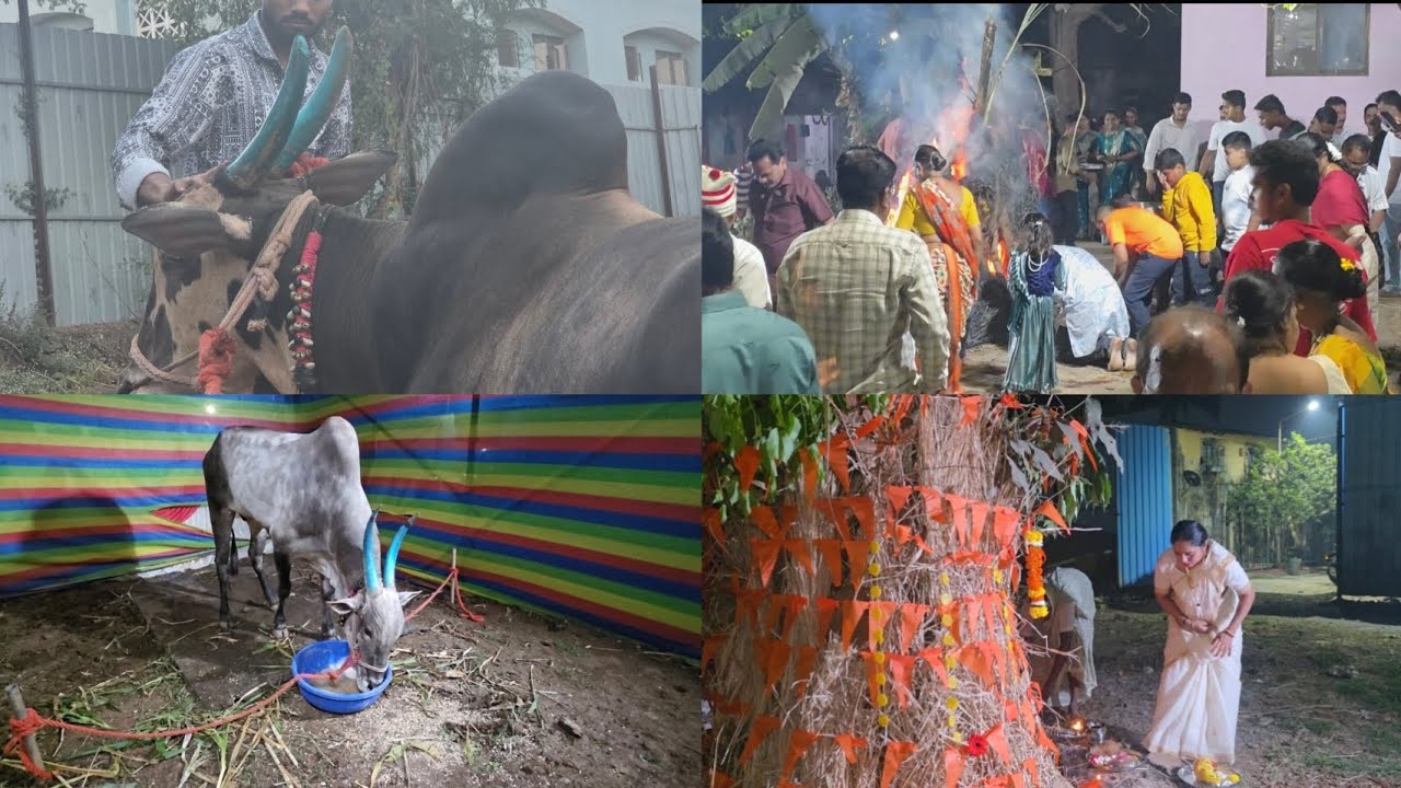 कोळीवाड्याची होळी कशी साजरी करतात बघा 🥰🤩 शिव पडला आजारी 🥹 
