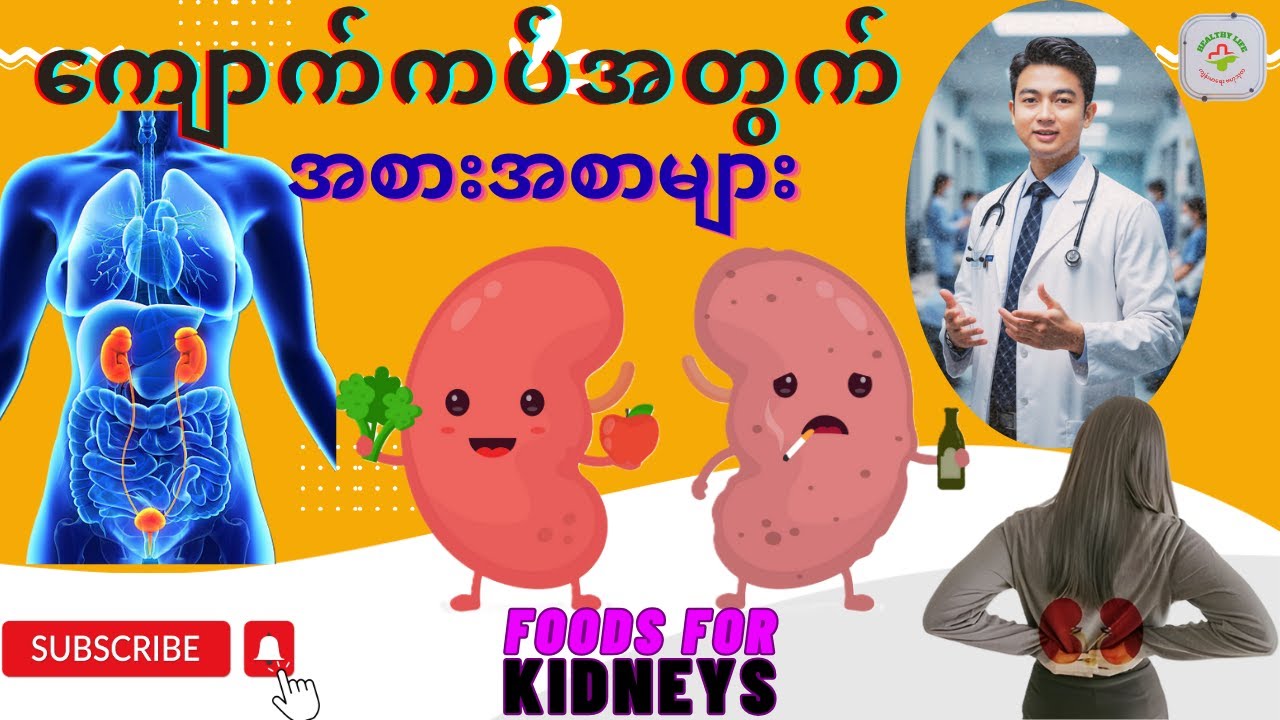 ကျောက်ကပ်ကိုကျန်းမာစေသောအစားအစာများ | Foods For Kidneys