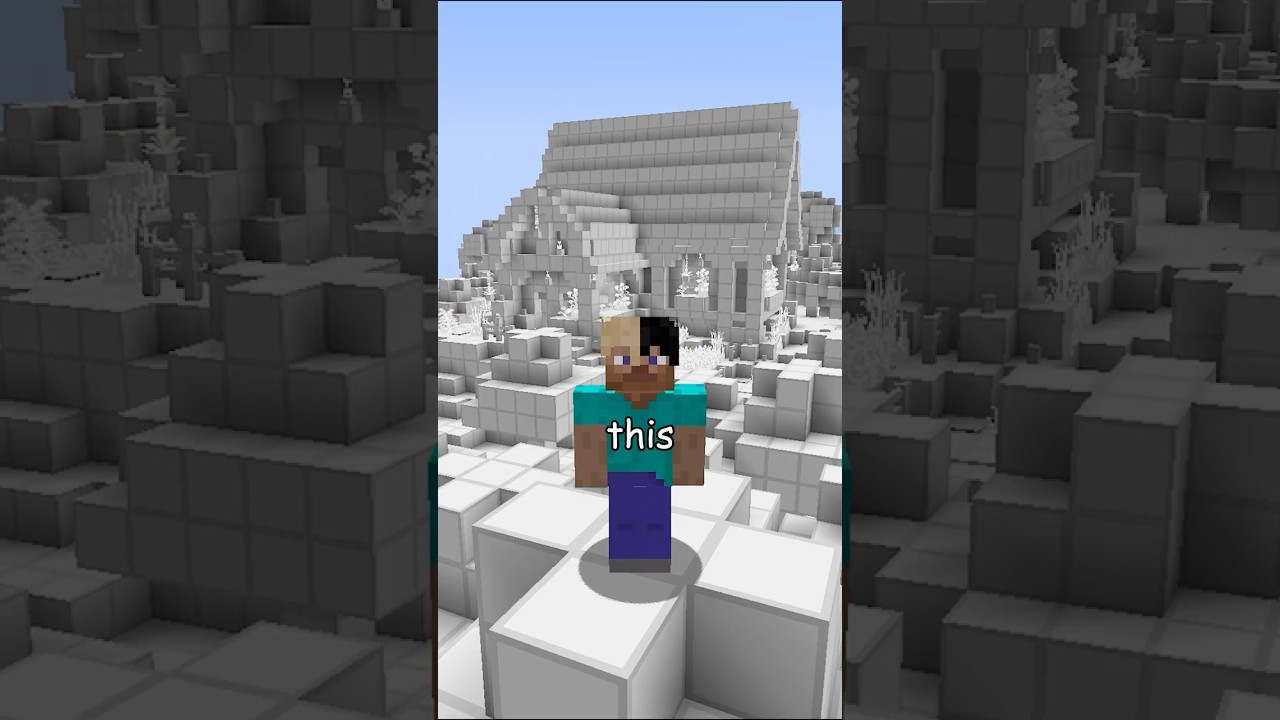 I Built A House With No Textures... It was a mistake #minecraft #minecraftshorts #minecraftbuilding
