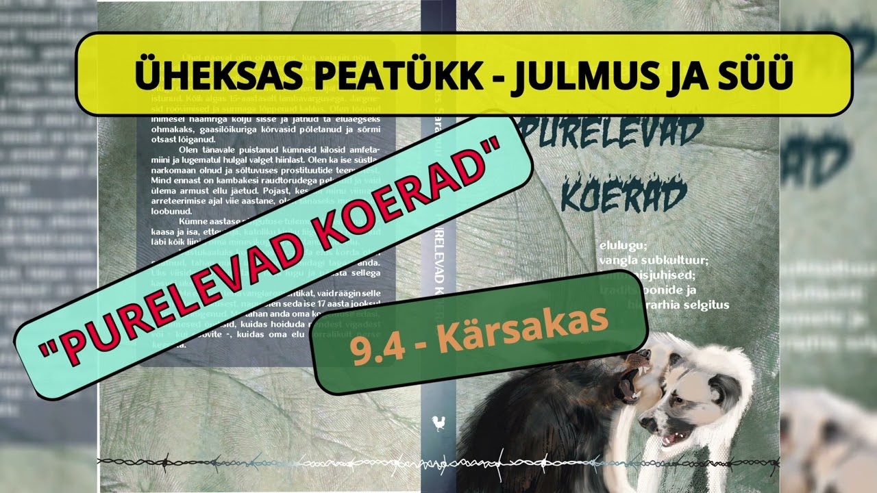 9.4 - K&auml;rsakas - Audioraamat