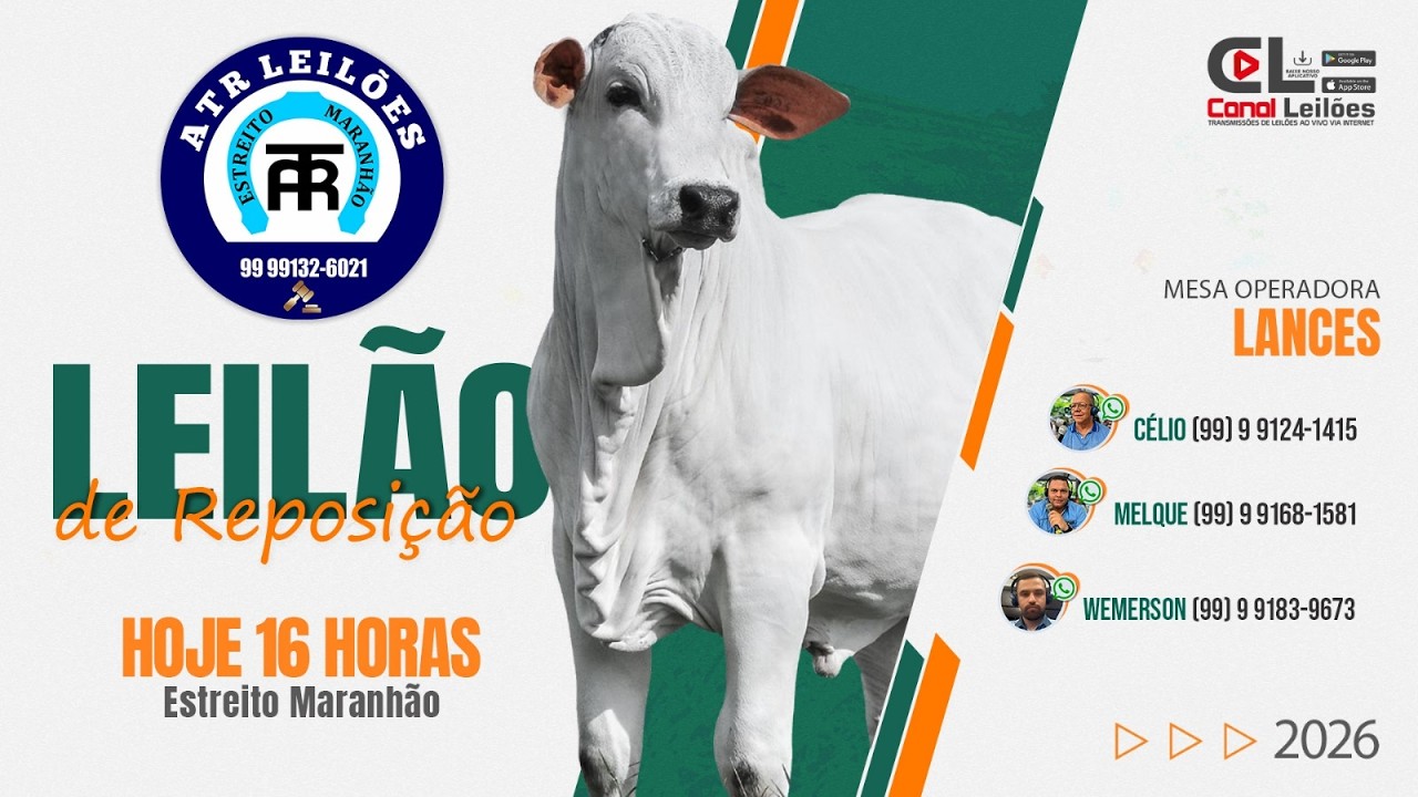 LEILÃO DE REPOSIÇÃO A.T.R LEILÕES | ESTREITO-MA 13/03/2026