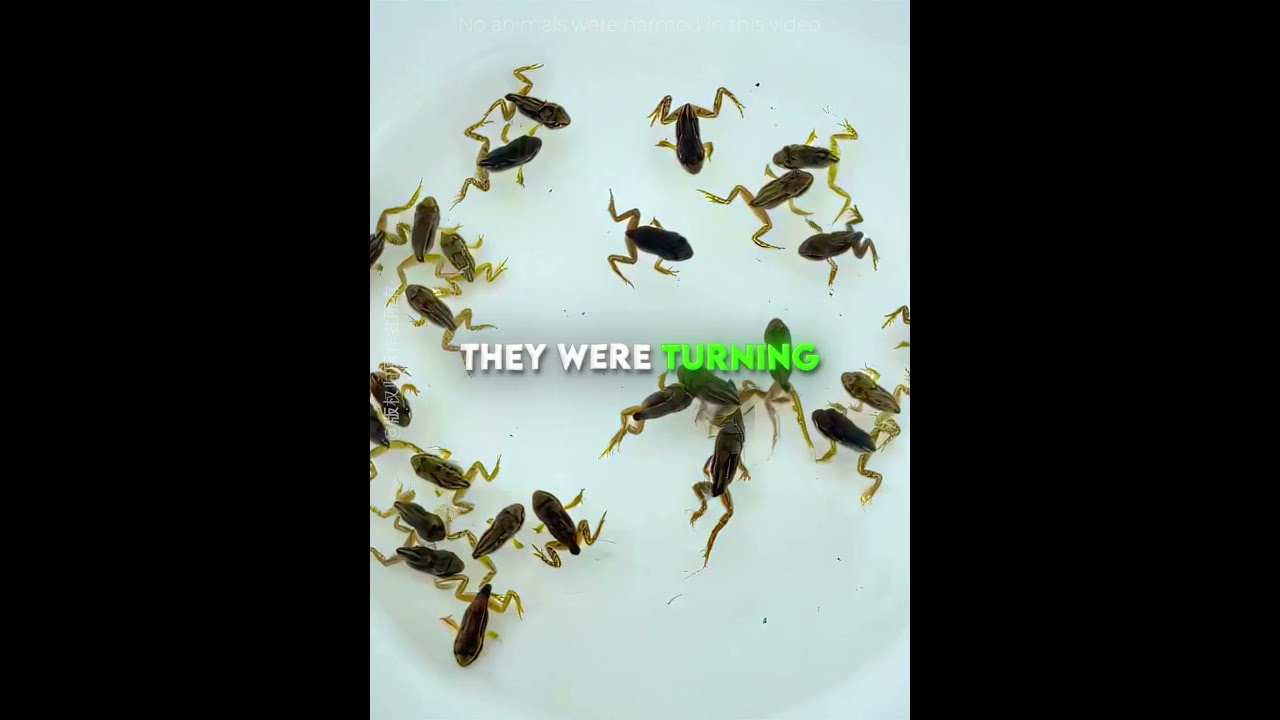 Эта девочка вырастила яйца странного вида 🐸❤️ #usa