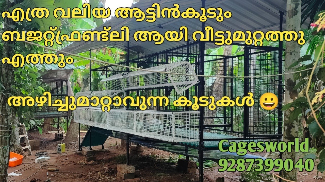 അഴിച്ചു മാറ്റാവുന്ന വലിയ, ബജറ്റ്ഫ്രണ്ട്‌ലി ആട്ടിൻകൂടുകൾ ഇനി,എളുപ്പത്തിൽ വീട്ടുമുറ്റത്തെത്തും #goat