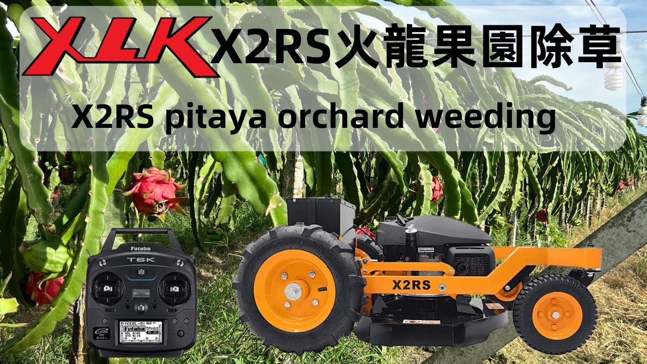 XLK X2RS超級拓荒者遙控割草機火龍果園除草作業  XLK X2RS RC lawn mower pitaya orchard weeding.