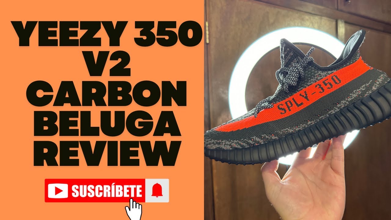 YEEZY 350 V2 CARBON BELUGA REVIEW EN ESPAÑOL