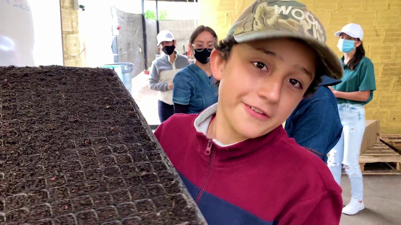¿PASE LA PRUEBA? ¿TRABAJO MUY DURO? - PASE TODO UN DIA EN UNA PLANTULADORA!!!