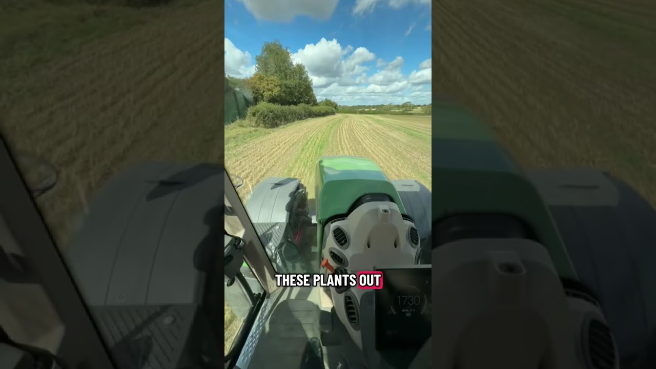 Claydon Farm Update 2nd pass Straw Harrowing with 15m Claydon Straw Harrow