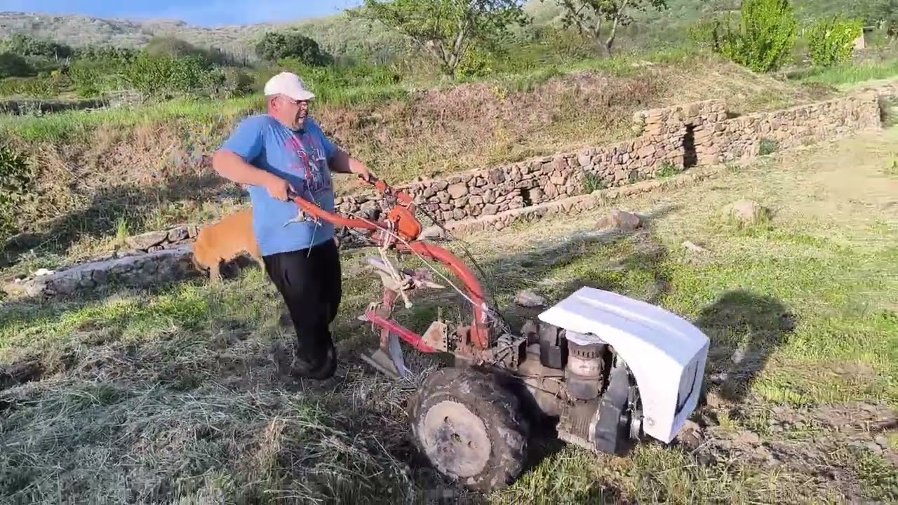 La TARÁNTULA, MAL ASUNTO me PARECE a MÍ