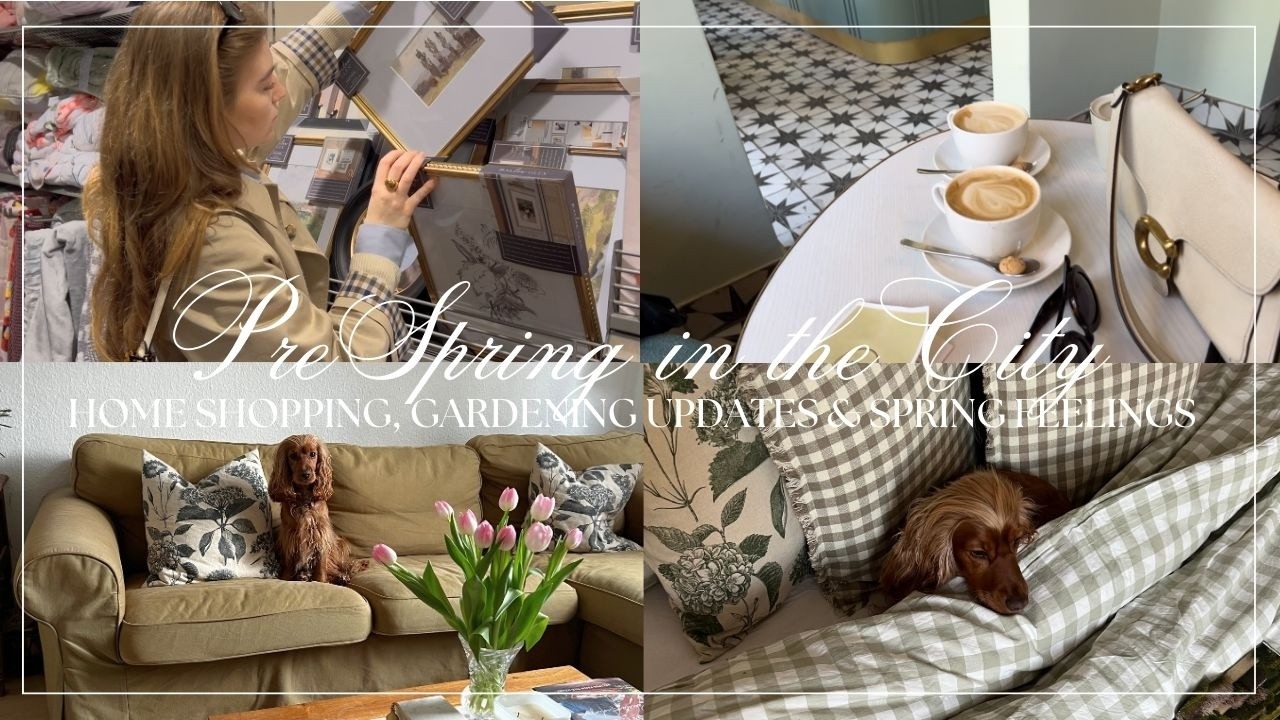 pre spring in the city☕🧺 home shopping, kitchen garden update & dog birthday