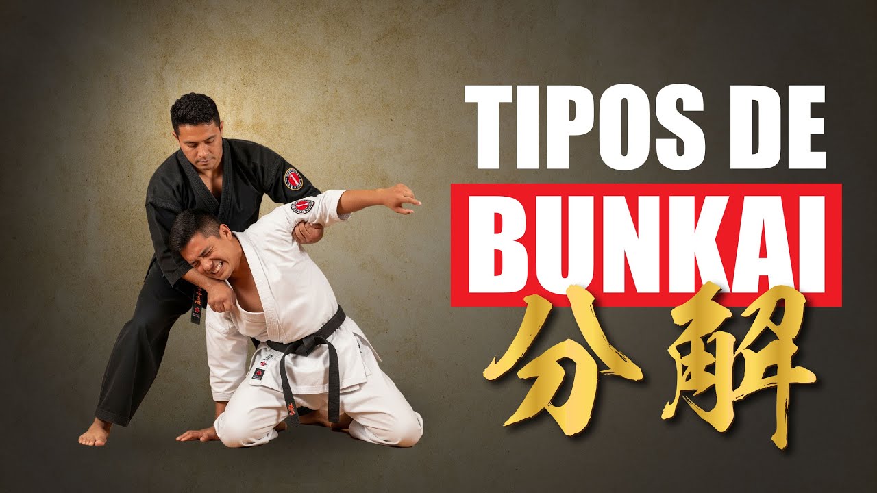 🥋 BUNKAI en KARATE: Descubre el SECRETO OCULTO de los KATAS