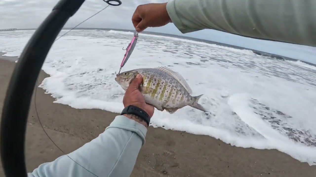 Surf fishing Hueneme CA.
