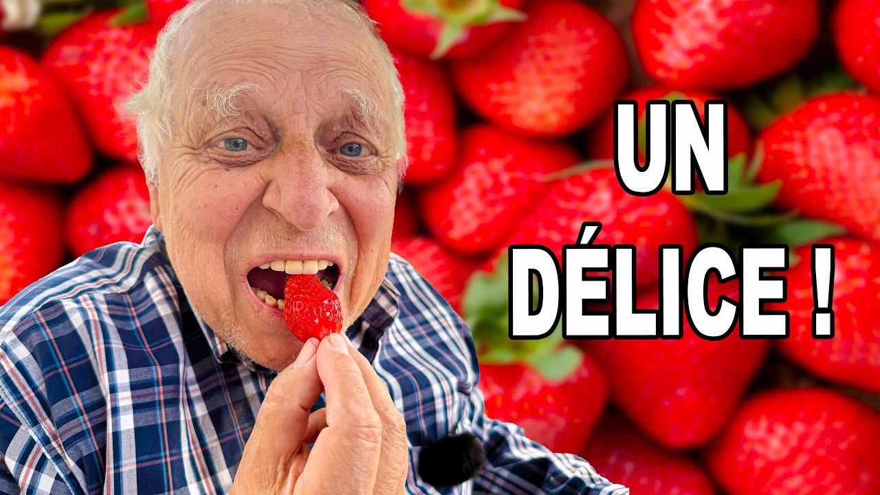 Mon secret pour récolter des fraises ultra parfumées 🍓