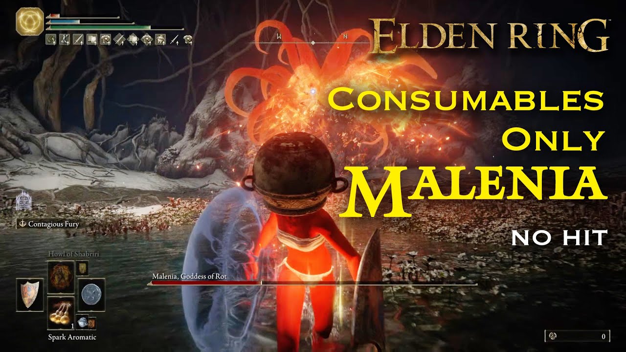Consumables Only No Hit - Malenia, Goddess of Rot