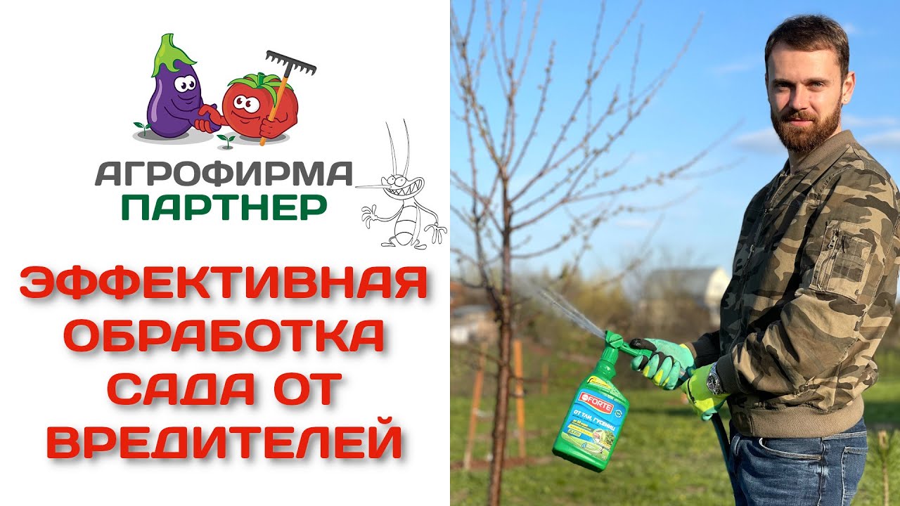Эффективная обработка сада от вредителей
