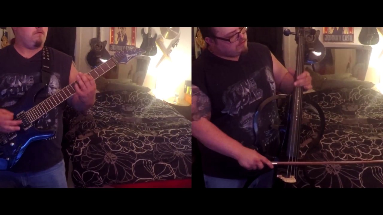 Three Days Grace - Animal I Have Become (Guitar & Cello Cover)