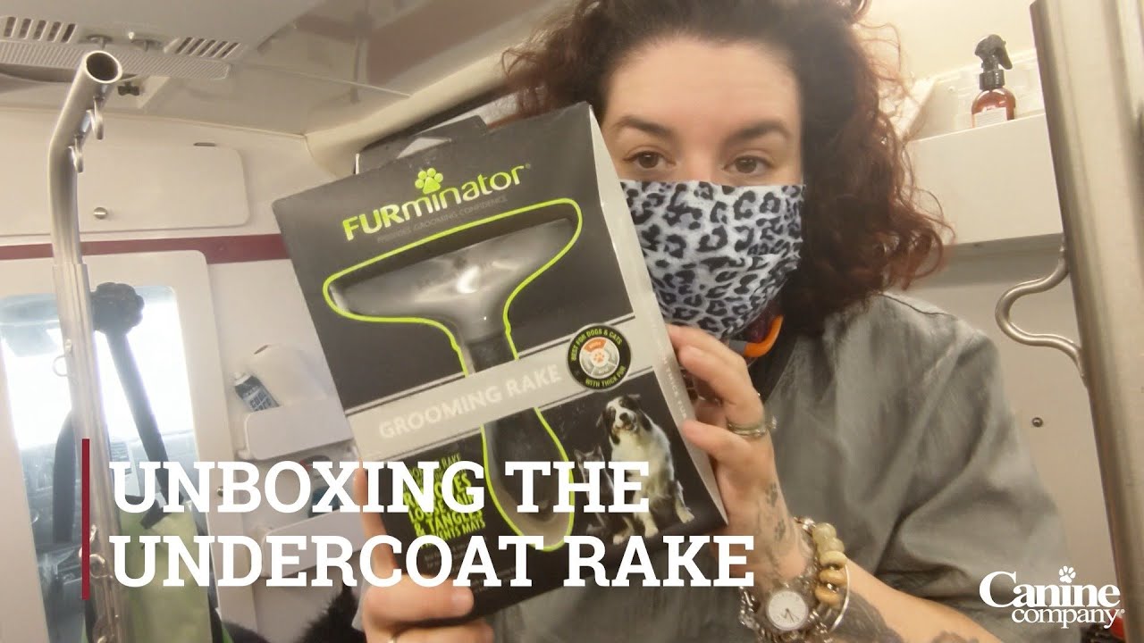 How To Tackle Your Dogs Undercoat
