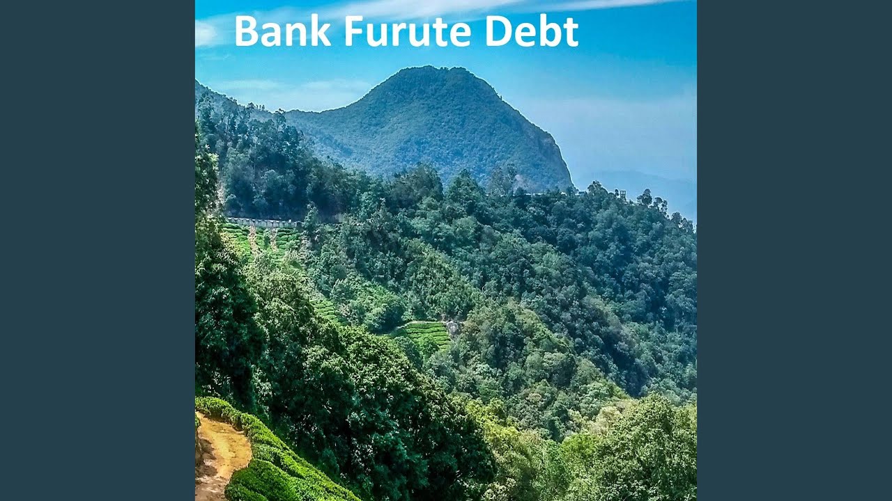 Bank Furute Debt