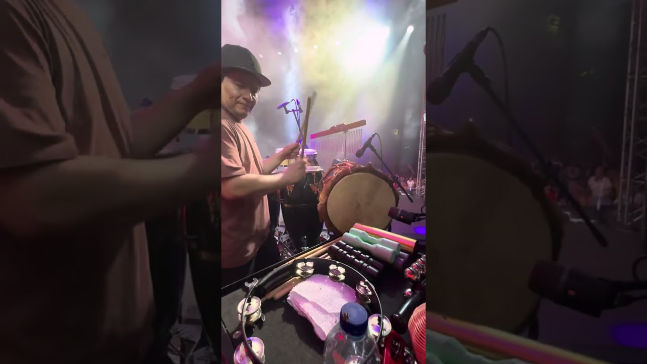 | el sonido del silencio | Alex Campos | percussion | el día en el que bichos nos iban a devorar