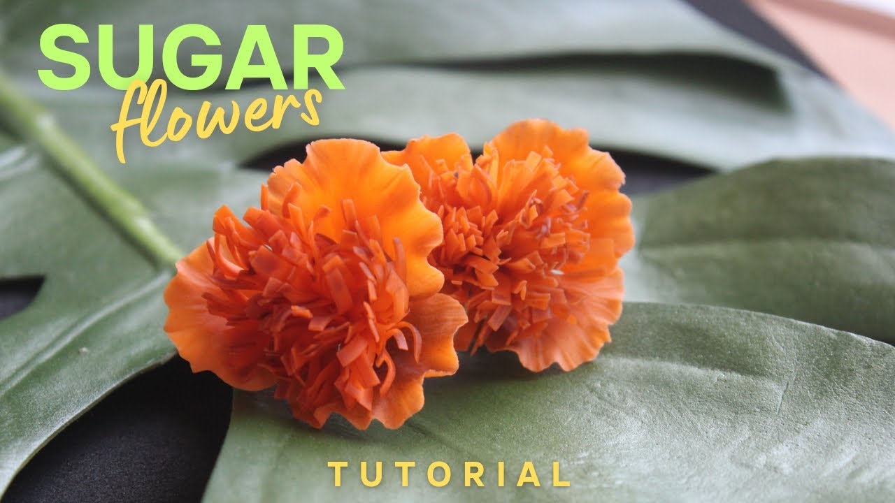📍 How to make a gumpaste flowers / step by step tutorial