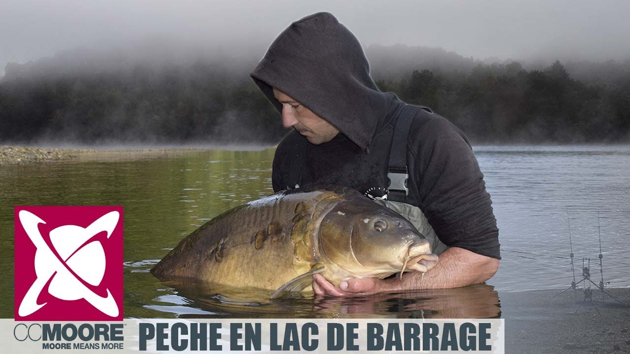 LA PECHE DE LA CARPE EN LAC DE BARRAGE / CCMoore France